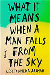 What it Means When A Man Falls From the Sky book