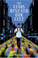 The Stars Beneath Our Feet book