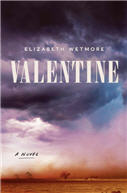Valentine the novel